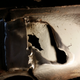 I left a gap in the weld on the bottom so any moisture behind the plate could escape.
